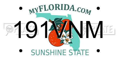 191VNM Florida License Plate