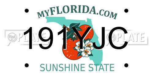 191YJC Florida License Plate