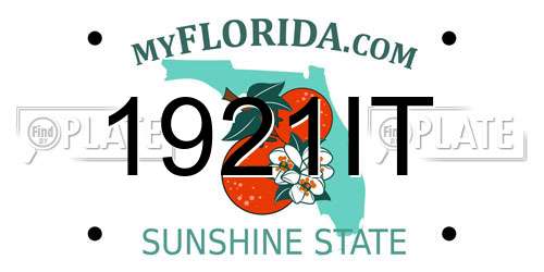 1921IT Florida License Plate