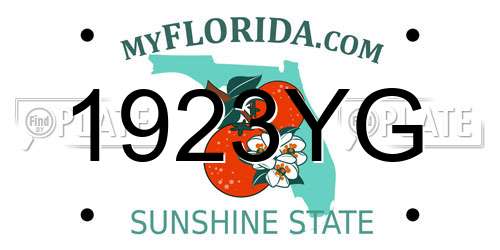 1923YG Florida License Plate