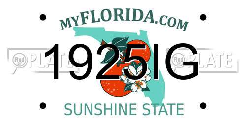 1925IG Florida License Plate