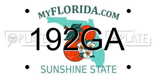 192GA Florida License Plate