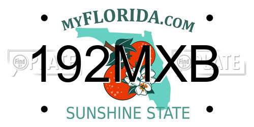 192MXB Florida License Plate