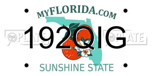 192QIG Florida License Plate