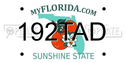 192TAD Florida License Plate