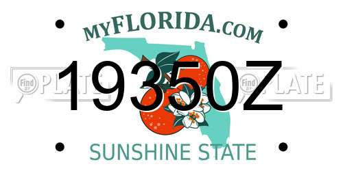 19350Z Florida License Plate