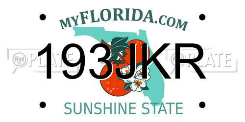 193JKR Florida License Plate