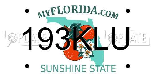 193KLU Florida License Plate