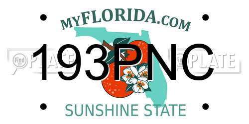 193PNC Florida License Plate