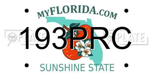 193PRC Florida License Plate
