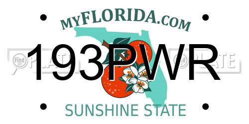 193PWR Florida License Plate