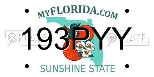 193PYY Florida License Plate