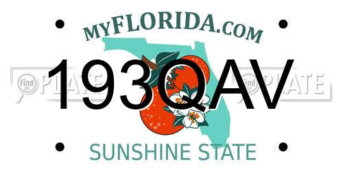 193QAV Florida License Plate