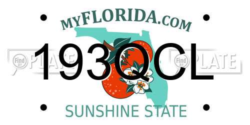 193QCL Florida License Plate