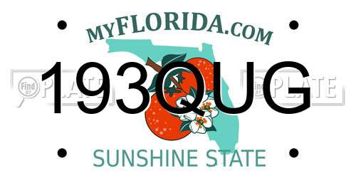 193QUG Florida License Plate