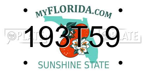 193T59 Florida License Plate