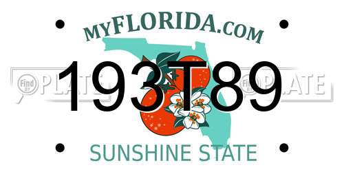 193T89 Florida License Plate