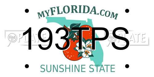 193TPS Florida License Plate