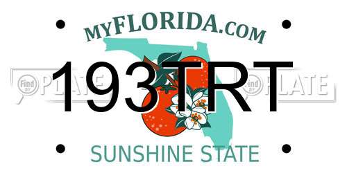 193TRT Florida License Plate