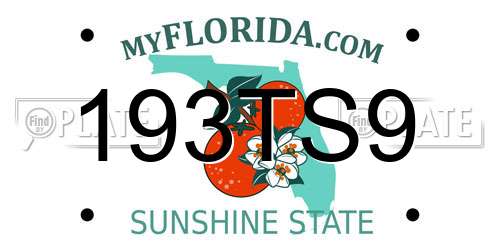 193TS9 Florida License Plate
