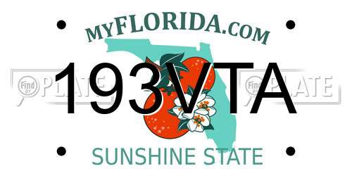 193VTA Florida License Plate