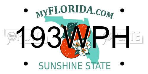 193WPH Florida License Plate