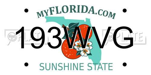 193WVG Florida License Plate