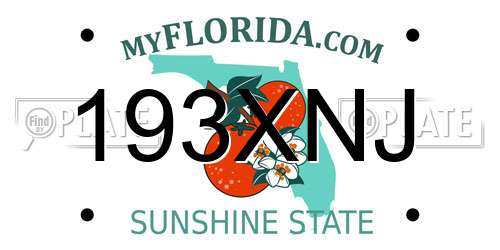 193XNJ Florida License Plate