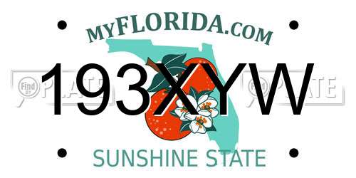 193XYW Florida License Plate
