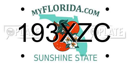 193XZC Florida License Plate