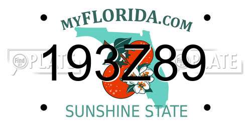 193Z89 Florida License Plate