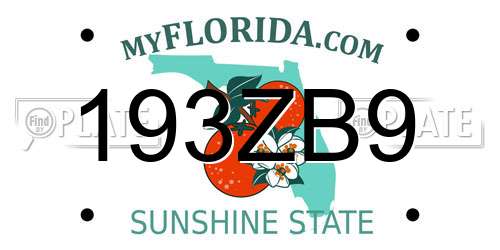 193ZB9 Florida License Plate