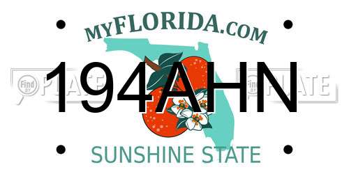 194AHN Florida License Plate