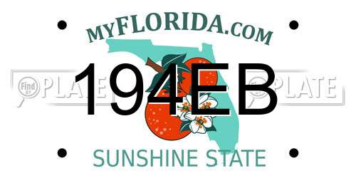 194EB Florida License Plate