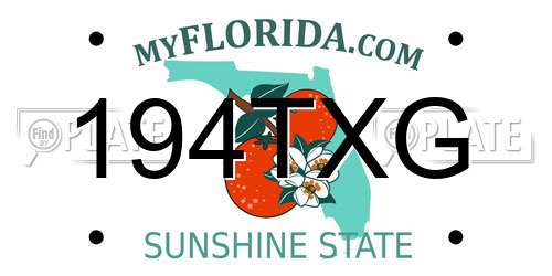 194TXG Florida License Plate