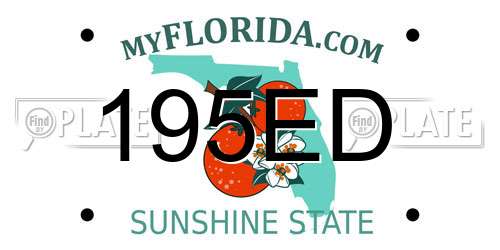 195ED Florida License Plate