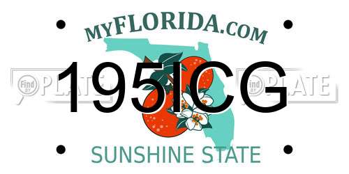 195ICG Florida License Plate