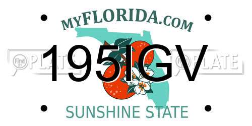 195IGV Florida License Plate