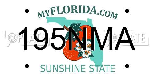 195NMA Florida License Plate