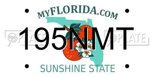 195NMT Florida License Plate