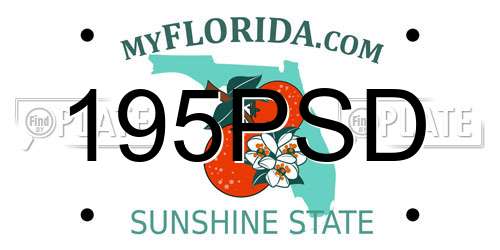 195PSD Florida License Plate