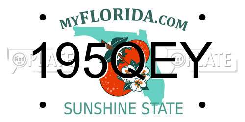195QEY Florida License Plate