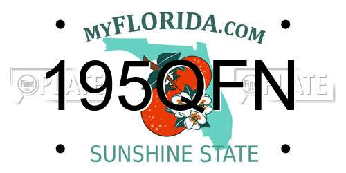 195QFN Florida License Plate
