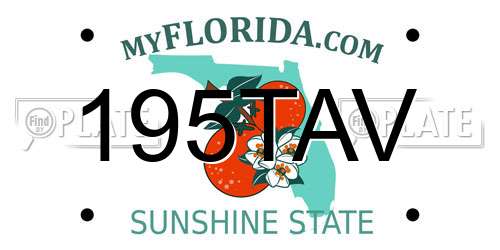 195TAV Florida License Plate