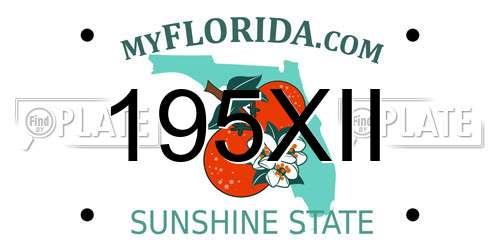 195XII Florida License Plate