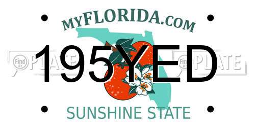 195YED Florida License Plate