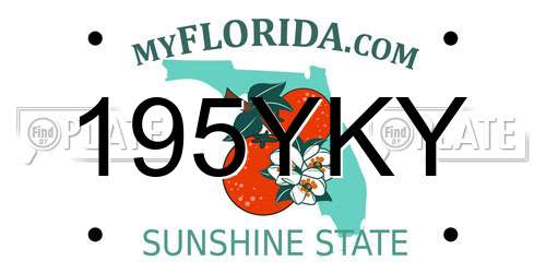 195YKY Florida License Plate
