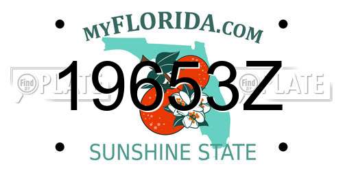 19653Z Florida License Plate