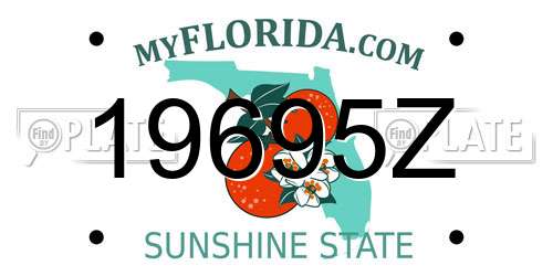19695Z Florida License Plate