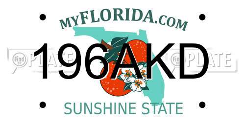 196AKD Florida License Plate